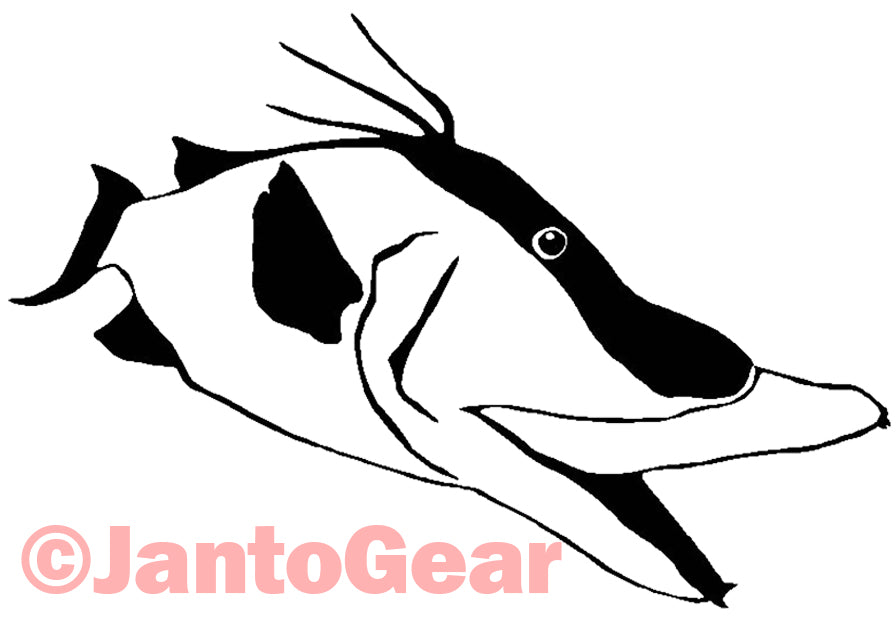 Hogfish - Sticker