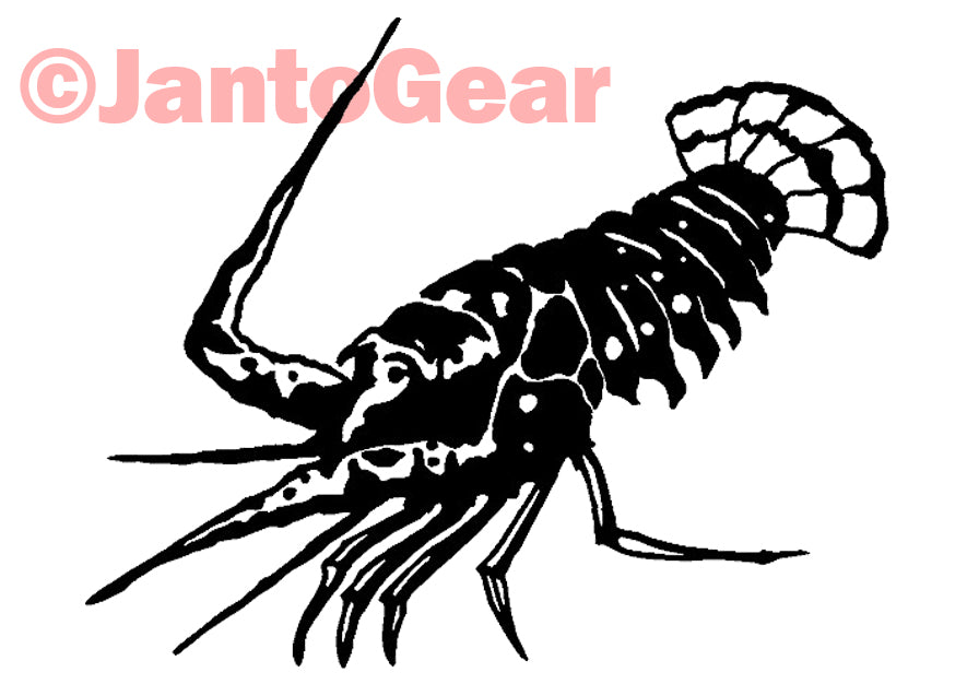 Lobster - Sticker