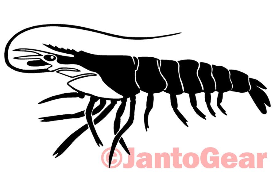 Shrimp - Sticker