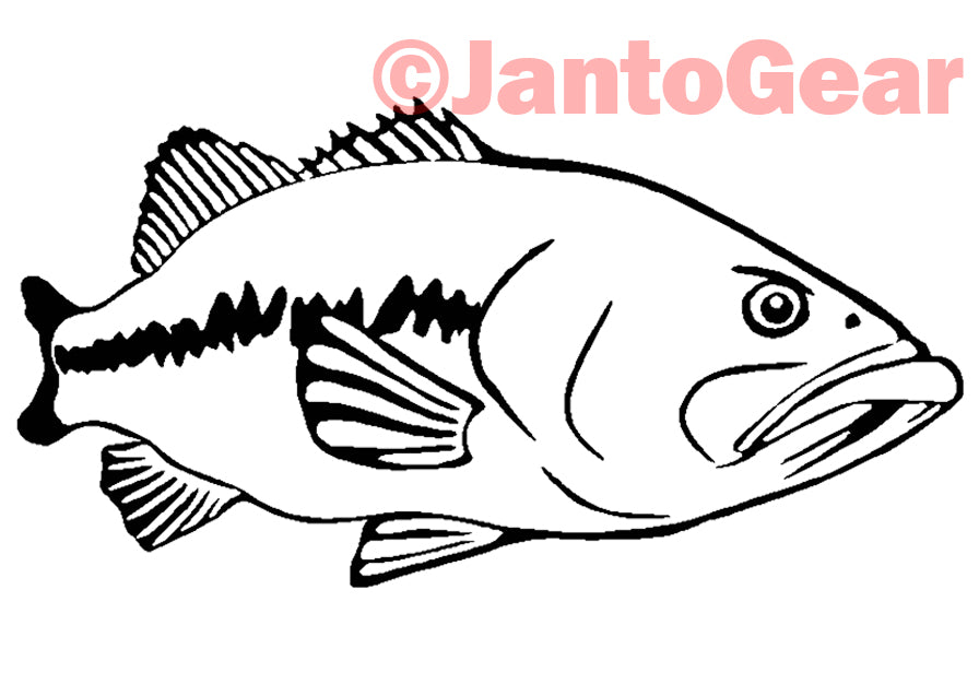 Largemouth Bass - Sticker